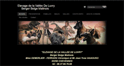 Desktop Screenshot of lavalleedeluvry.com